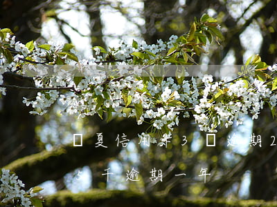 華夏信用卡3萬逾期2年-華夏銀行信用卡5千逾期一年