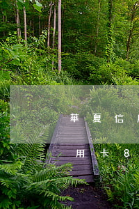 華夏信用卡8000多逾期7個月-華夏信用卡8000多逾期7個月怎么辦