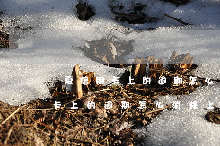 華夏信用卡上的逾期怎么消除上海 華夏信用卡上的逾期怎么消除上海信用卡