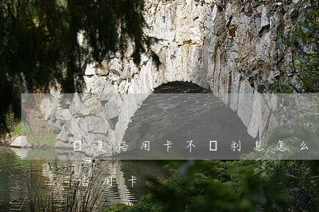 華夏信用卡不還利息怎么算(華夏銀行怎么還信用卡)