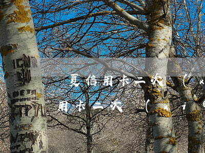 華夏信用卡二次協(xié)商還款(華夏信用卡二次協(xié)商還款流程)