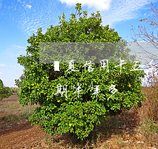 華夏信用卡五千逾期一年(華夏信用卡2萬逾期半年多)