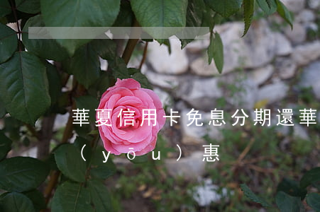 華夏信用卡免息分期還(華夏銀行賬單分期優(yōu)惠)