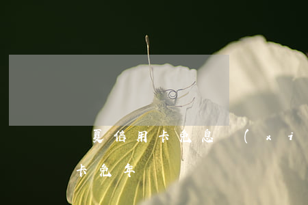 華夏信用卡免息協(xié)商-華夏信用卡 免年費