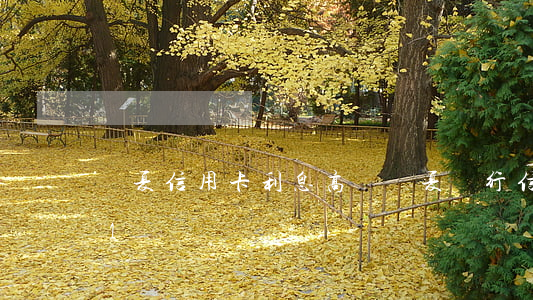 華夏信用卡利息高嗎(華夏銀行信用卡2021)