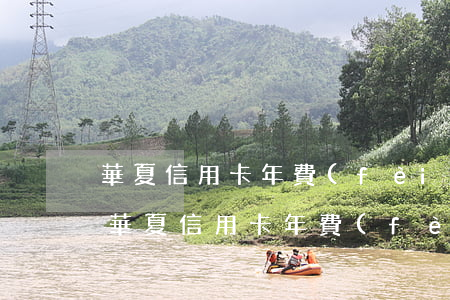 華夏信用卡年費(fèi)協(xié)商(華夏信用卡年費(fèi)協(xié)商還款流程)