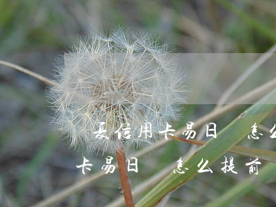 華夏信用卡易日貸怎么提前還款-華夏信用卡易日貸怎么提前還款的
