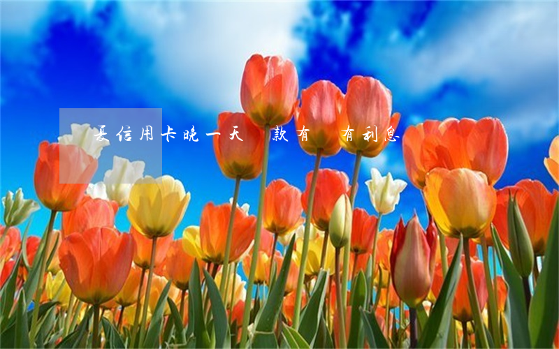 華夏信用卡晚一天還款有沒有利息
