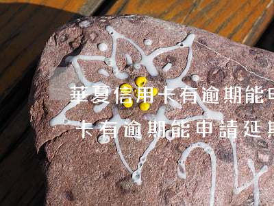 華夏信用卡有逾期能申請延期嗎-華夏信用卡有逾期能申請延期嗎怎么辦