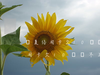 華夏信用卡欠10萬還不上怎么辦-華夏信用卡欠10萬還不上怎么辦呢