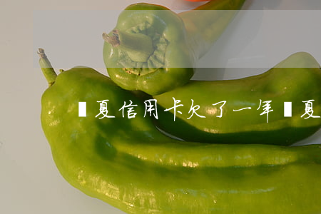 華夏信用卡欠了一年(華夏信用卡欠了一年)