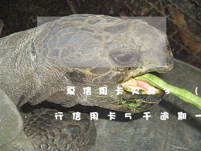 華夏信用卡欠款3萬(wàn)逾期(華夏銀行信用卡5千逾期一年)