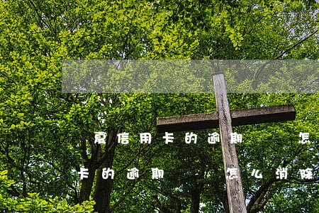華夏信用卡的逾期記錄怎么消除-華夏信用卡的逾期記錄怎么消除掉