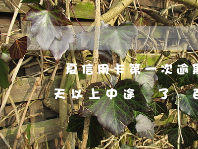 華夏信用卡第一次逾期(華夏信用卡逾期90天以上中途還了幾百塊)