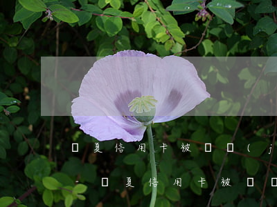 華夏信用卡被凍結(jié)逾期了怎么辦-華夏信用卡被凍結(jié)逾期了怎么辦呢