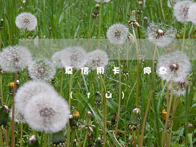華夏信用卡辦停息掛賬(華夏銀行?？ê髸謴?fù)嗎)
