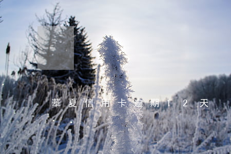 華夏信用卡逾期12天