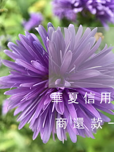 華夏信用卡逾期180天怎樣協(xié)商還款-華夏信用卡逾期180天怎樣協(xié)商還款呢