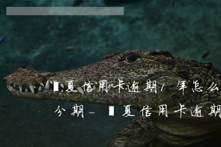 華夏信用卡逾期1年怎么申請(qǐng)分期-華夏信用卡逾期1年怎么申請(qǐng)分期還款