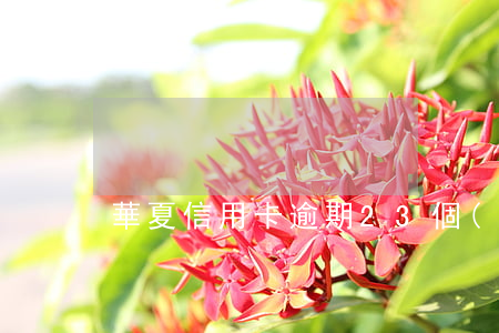 華夏信用卡逾期23個(gè)月