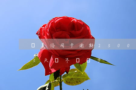 華夏信用卡逾期2500(華夏信用卡逾期25天會不會鎖卡)
