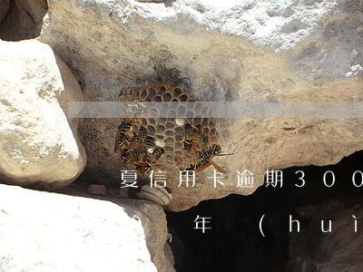 華夏信用卡逾期300 華夏信用卡逾期3000倆年會(huì)上家來(lái)嗎