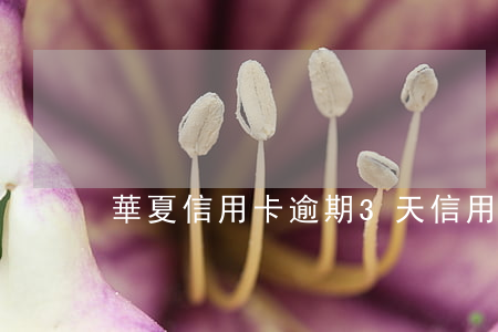 華夏信用卡逾期3天 信用卡逾期三天