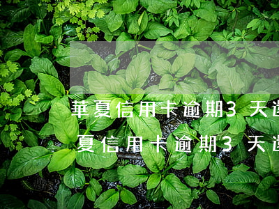 華夏信用卡逾期3天還最低還款可以嗎-華夏信用卡逾期3天還最低還款可以嗎安全嗎