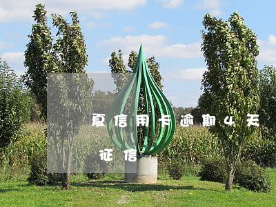 華夏信用卡 逾期4天(華夏信用卡逾期4天影響征信嗎)