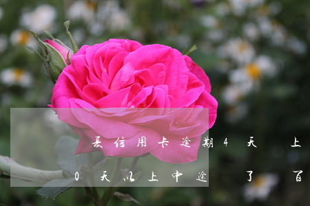 華夏信用卡逾期4天還上(華夏信用卡逾期90天以上中途還了幾百塊)