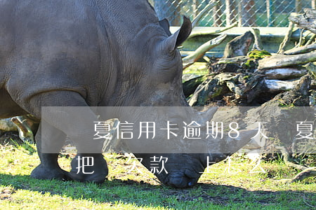 華夏信用卡逾期8天 華夏信用卡逾期8天讓把總欠款還上怎么辦