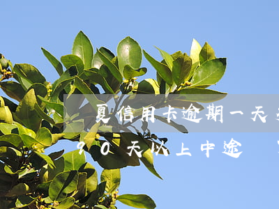 華夏信用卡逾期一天多少錢(華夏信用卡逾期90天以上中途還了幾百塊)