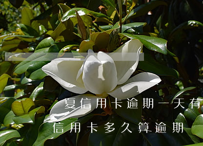 華夏信用卡逾期一天有什么影響(華夏銀行的信用卡多久算逾期)