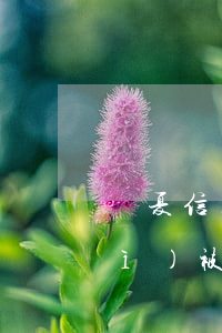 華夏信用卡逾期一萬(wàn)五會(huì)被起訴嗎-華夏信用卡逾期一萬(wàn)五會(huì)被起訴嗎知乎
