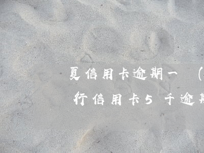 華夏信用卡逾期一萬(wàn)八半年(華夏銀行信用卡5千逾期一年)