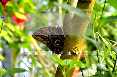 華夏信用卡逾期三天晚上幾點 華夏信用卡逾期三天晚上幾點扣款