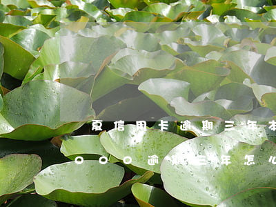 華夏信用卡逾期三年本金7000(信用卡7000逾期三年怎么辦)