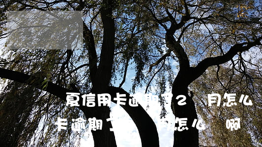 華夏信用卡逾期了2個月怎么辦-華夏信用卡逾期了2個月怎么辦啊