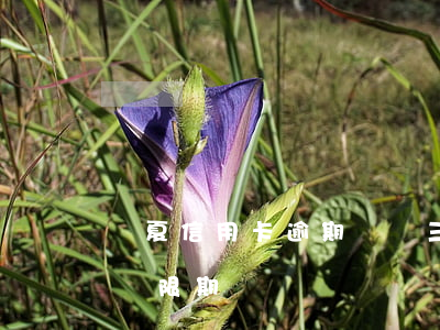 華夏信用卡逾期兩萬三個月(華夏信用卡三天寬限期)