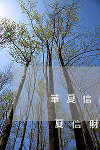華夏信用卡逾期凍結(jié)怎么解凍(華夏信財(cái)逾期會(huì)凍結(jié)銀行卡,支付寶嗎)