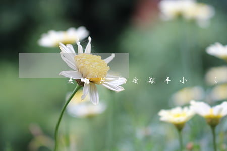 華夏信用卡逾期半小時(shí)