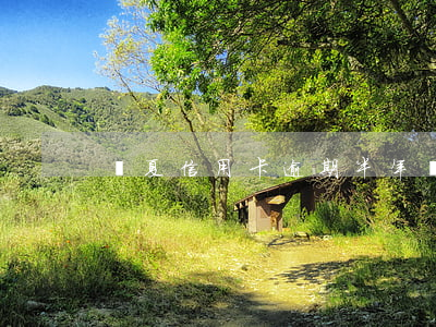 華夏信用卡逾期半年還能用嗎