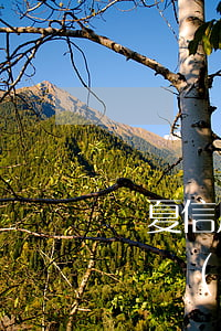 華夏信用卡逾期協(xié)商還本金要簽訂協(xié)議-華夏信用卡逾期協(xié)商還本金要簽訂協(xié)議嗎