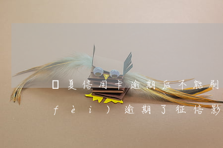 華夏信用卡逾期后不能刷(華夏信用卡年費(fèi)逾期了,征信影響可以消嗎)