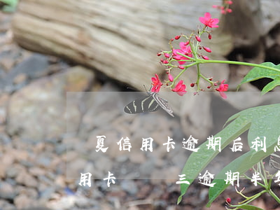 華夏信用卡逾期后利息違約金(欠華夏銀行信用卡兩萬三,逾期半年了,會做牢嗎)