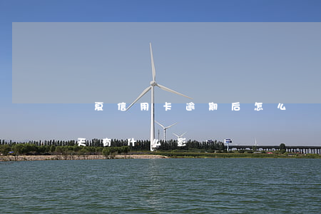 華夏信用卡逾期后怎么辦(華夏信用卡逾期兩天有什么影響)