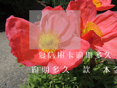 華夏信用卡逾期多久還款減本金(華夏信用卡逾期多久還款減本金)