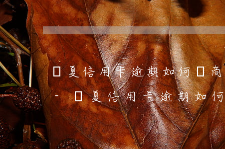 華夏信用卡逾期如何協商還款興業(yè)-華夏信用卡逾期如何協商還款興業(yè)銀行