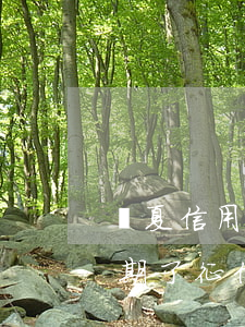 華夏信用卡逾期怎么繳費(華夏信用卡年費逾期了,征信影響可以消嗎)