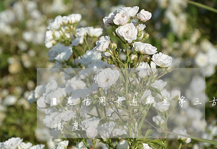 華夏信用卡逾期是第三方處理嗎-煙囪擺動幅度